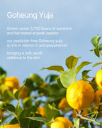 Goheung Yuja C Vita Brightening Serum